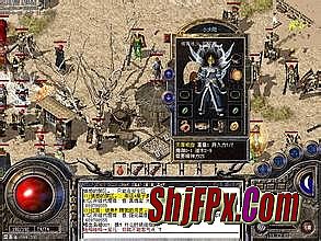 �¿�����̬��Ѫ����