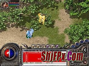 �����̬�ֻ���