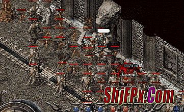 �ֻ����浥���� �ɵ���