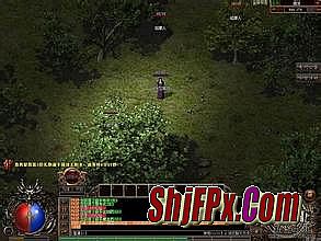 176��Ʒ���Ŵ���