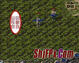 ������Ӱ����