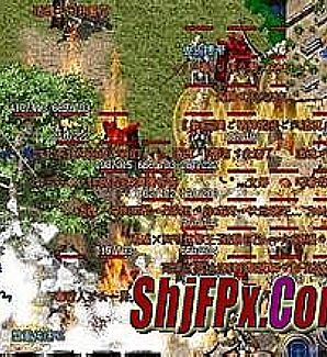 ��������й���������̿�Ⱥ��������